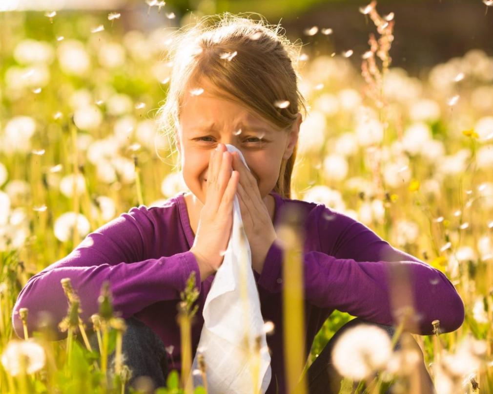 Unveiling the Science Behind Nasal Inhalers: How Do They Tame Allergies?