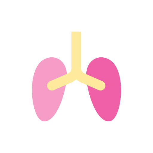 Nasal Inhaler Wiki